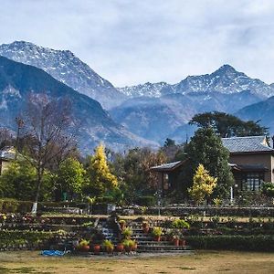 Blossoms Village Resort